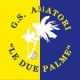 Asd G.S.A. Le Due Palme
